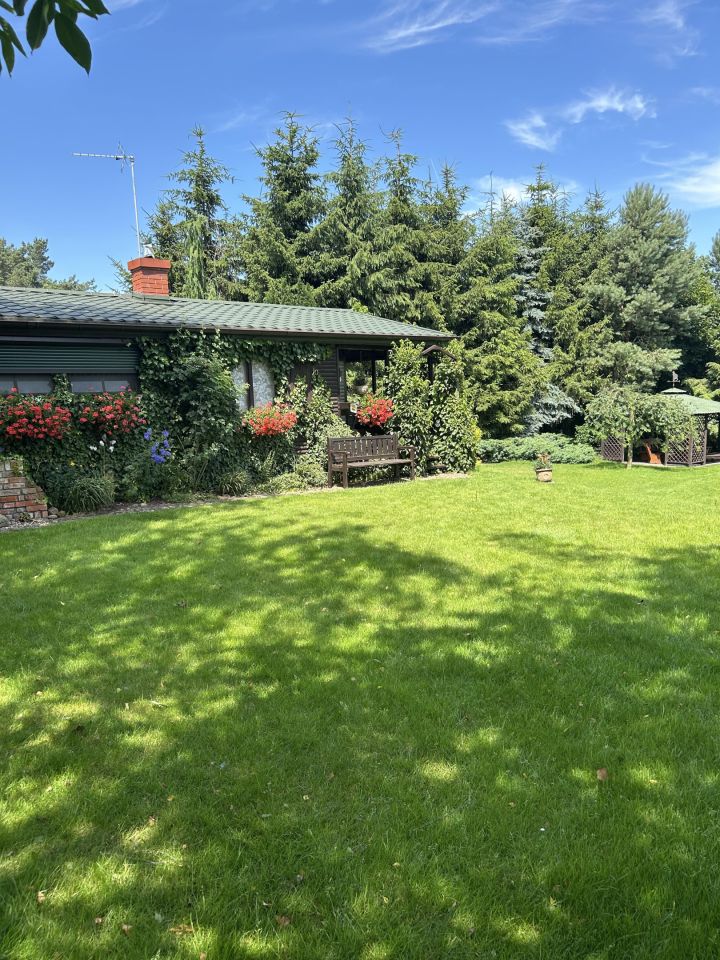 Działka rolno-budowlana Jerzyn. Zdjęcie 3