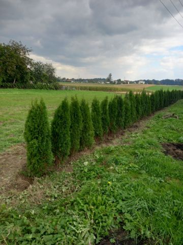 Działka budowlana Kończyce Małe. Zdjęcie 1