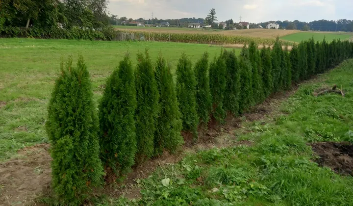 Działka budowlana Kończyce Małe