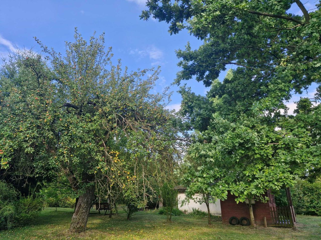 Działka rekreacyjna Antopol. Zdjęcie 8