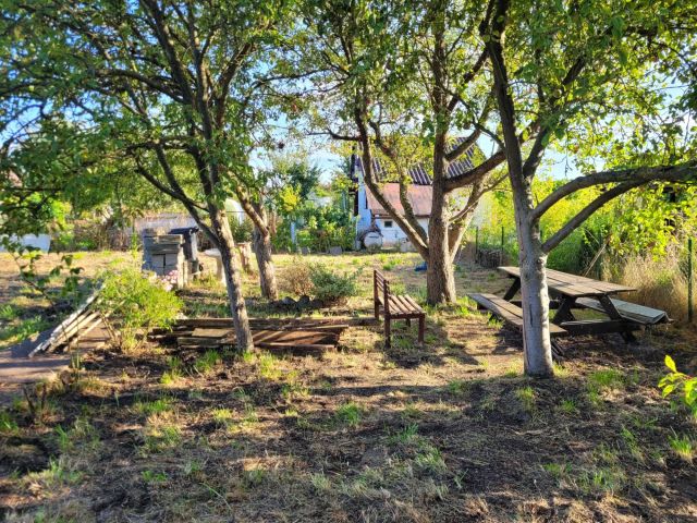 Działka rod Gryfino, ul. Czechosłowacka. Zdjęcie 1