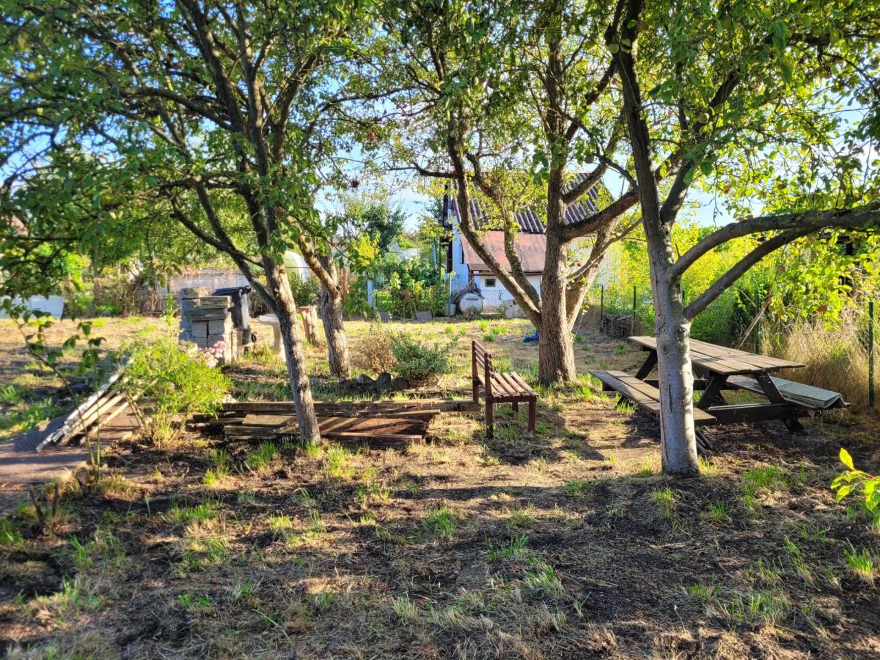 Działka rod Gryfino, ul. Czechosłowacka