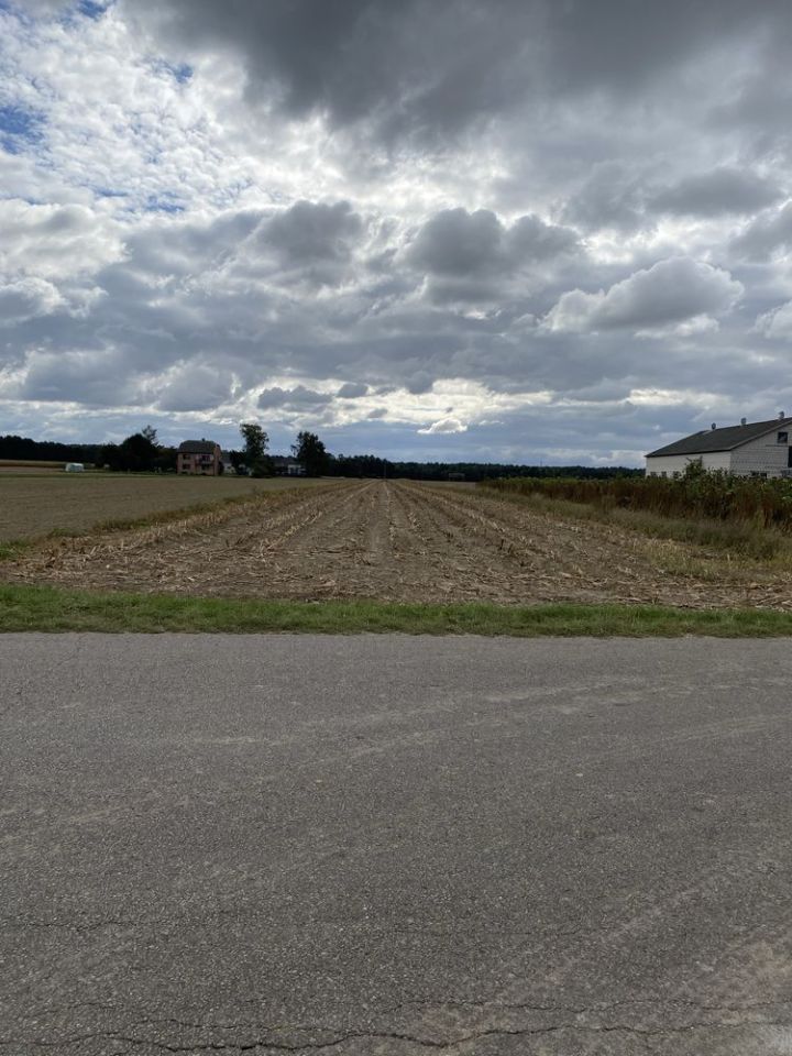 Działka rolna Zembry. Zdjęcie 4