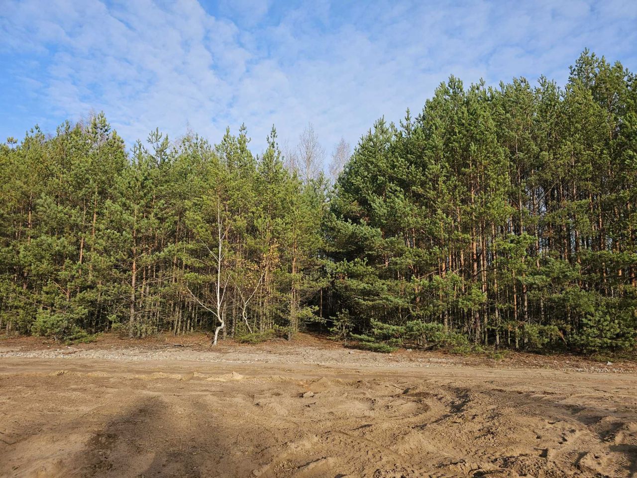 Działka rolna Ponurzyca. Zdjęcie 6