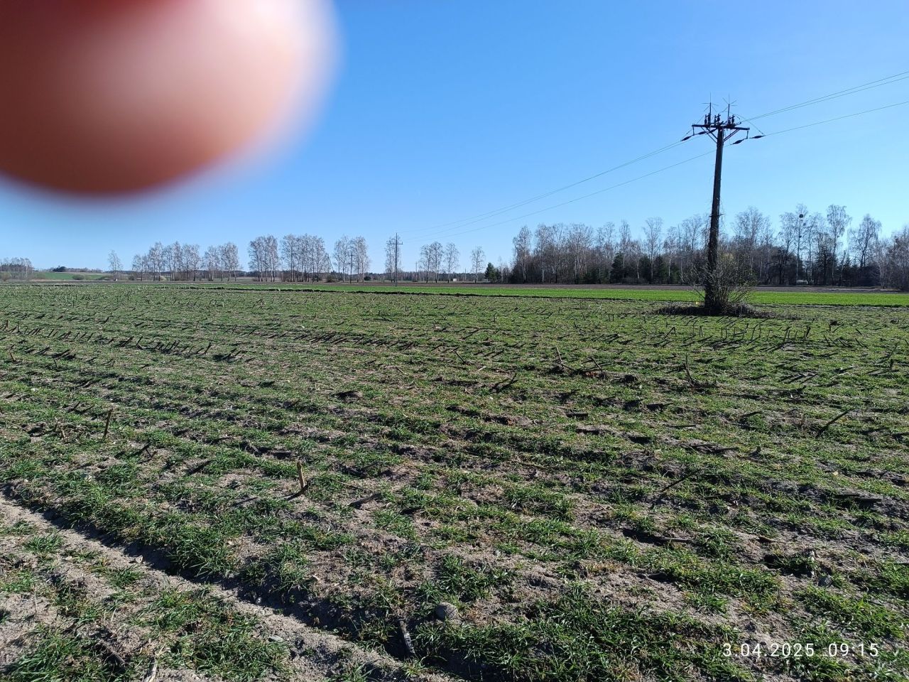 Działka rolno-budowlana Czerewki. Zdjęcie 7