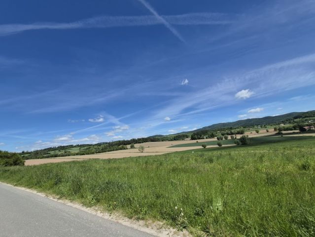Działka budowlana Dzikowiec, ul. Kolonia. Zdjęcie 10