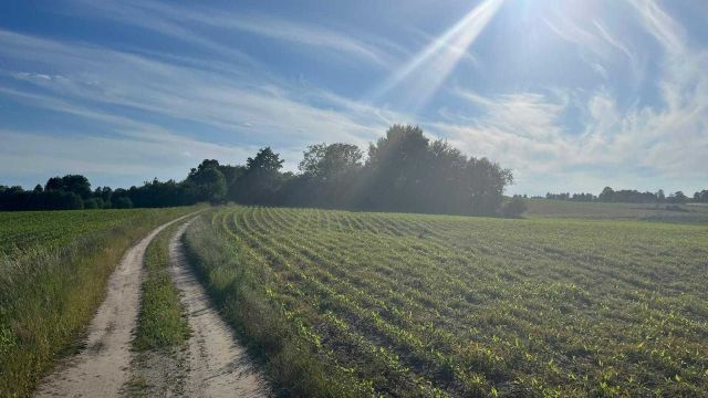 Działka siedliskowa Kierwiny. Zdjęcie 1