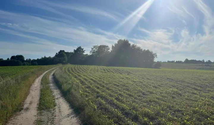 Działka siedliskowa Kierwiny
