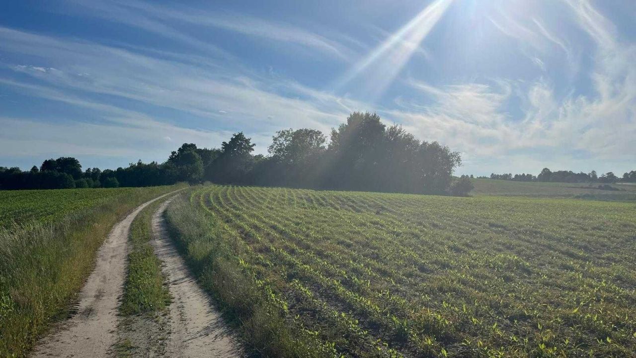 Działka siedliskowa Kierwiny. Zdjęcie 1