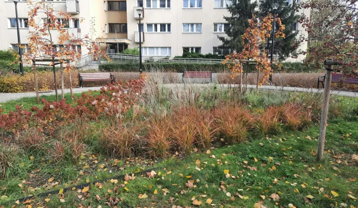 Mieszkanie 4-pokojowe Warszawa Bielany