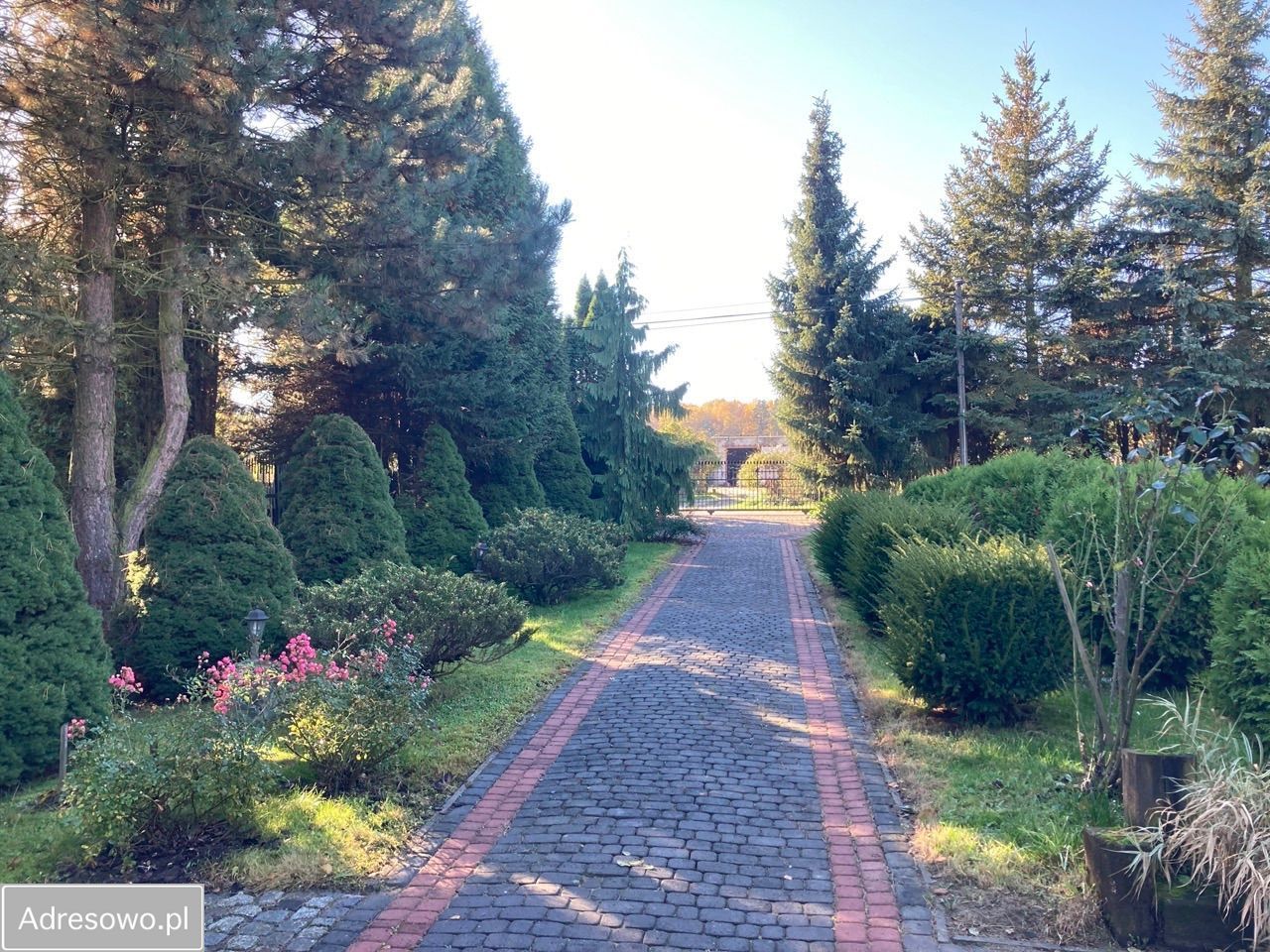 dom wolnostojący, 4 pokoje Miechowice. Zdjęcie 14