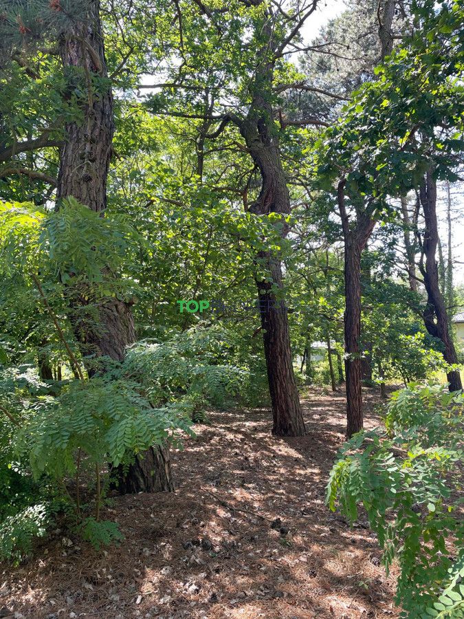 Działka budowlana Józefów. Zdjęcie 5