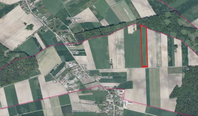 Działka rolna Łopienie-Szelągi. Zdjęcie 1