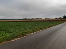 Działka rolno-budowlana Nowy Dwór-Parcela. Zdjęcie 4