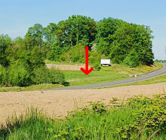 Działka budowlana Uciechów, ul. Lipowa. Zdjęcie 1