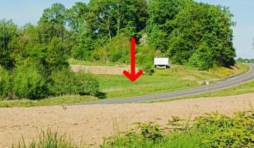 Działka budowlana Uciechów, ul. Lipowa