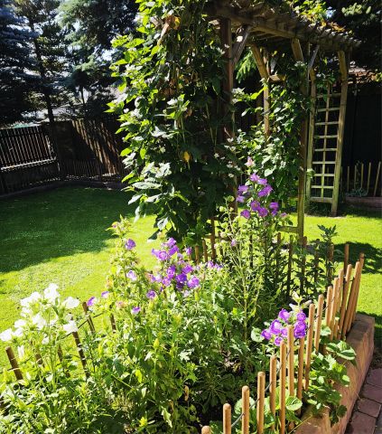 dom wolnostojący, 5 pokoi Borowa Góra, ul. Kameralna. Zdjęcie 21