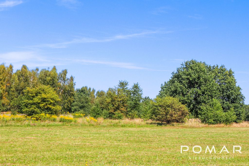 Działka Nędza, ul. Gliwicka. Zdjęcie 4