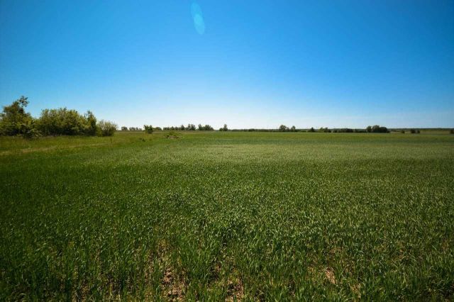 Działka rolno-budowlana Popielżyn-Zawady. Zdjęcie 1
