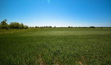 Działka rolno-budowlana Popielżyn-Zawady