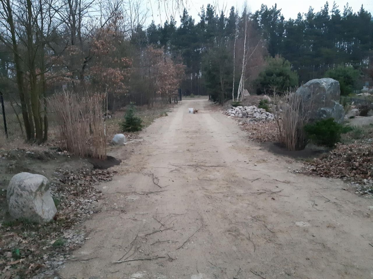 Działka budowlana Podbiel Krupińskie, Sosnowa. Zdjęcie 17