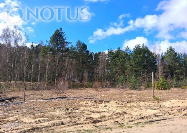 Działka budowlana Czarne Błoto. Zdjęcie 2