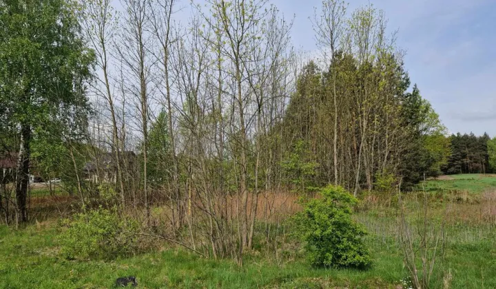 Działka rolno-budowlana Krasnogliny
