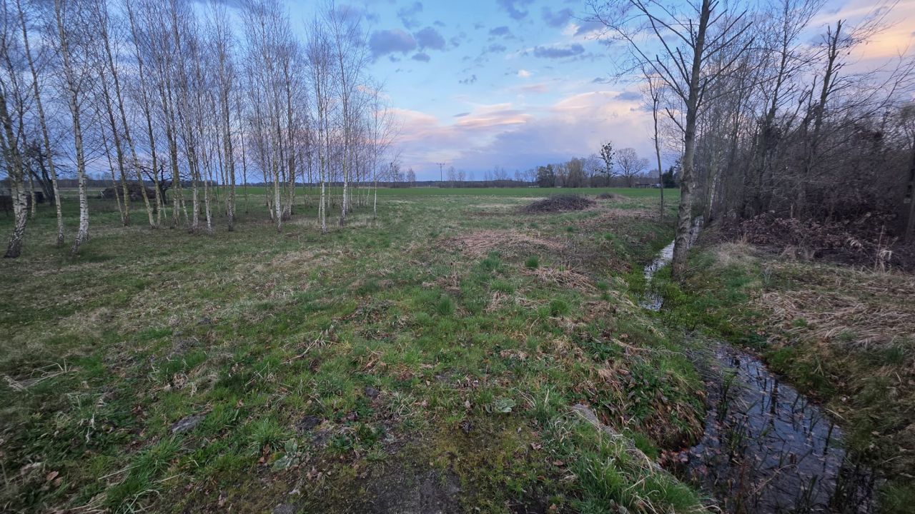 Działka budowlana Czatkowice, ul. Leśna. Zdjęcie 2