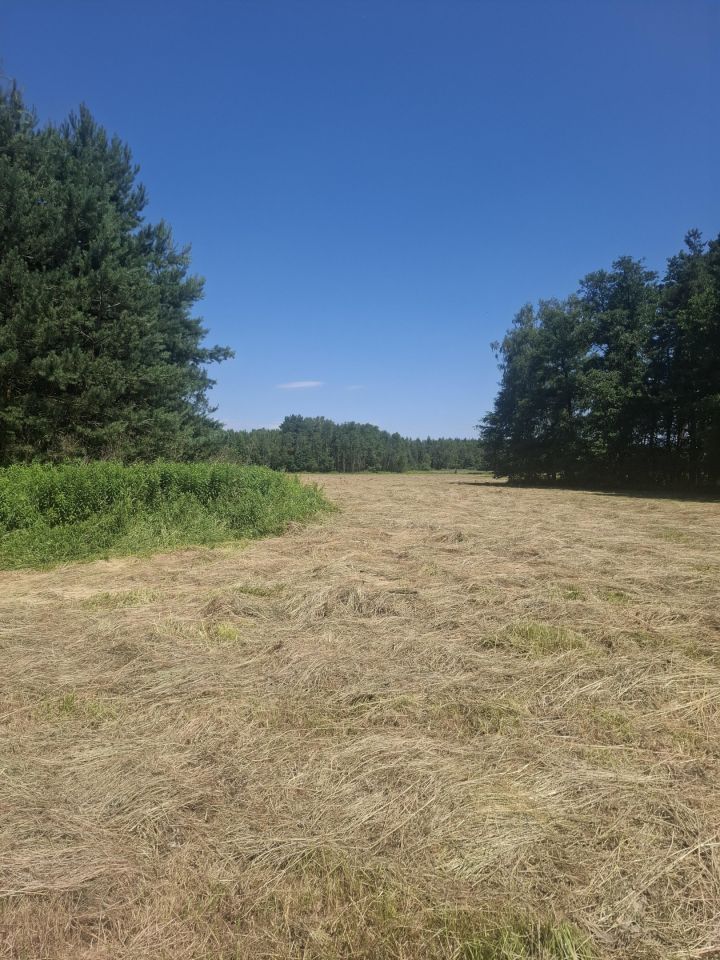 Działka rolna Piasek Wielki, Piasek. Zdjęcie 2