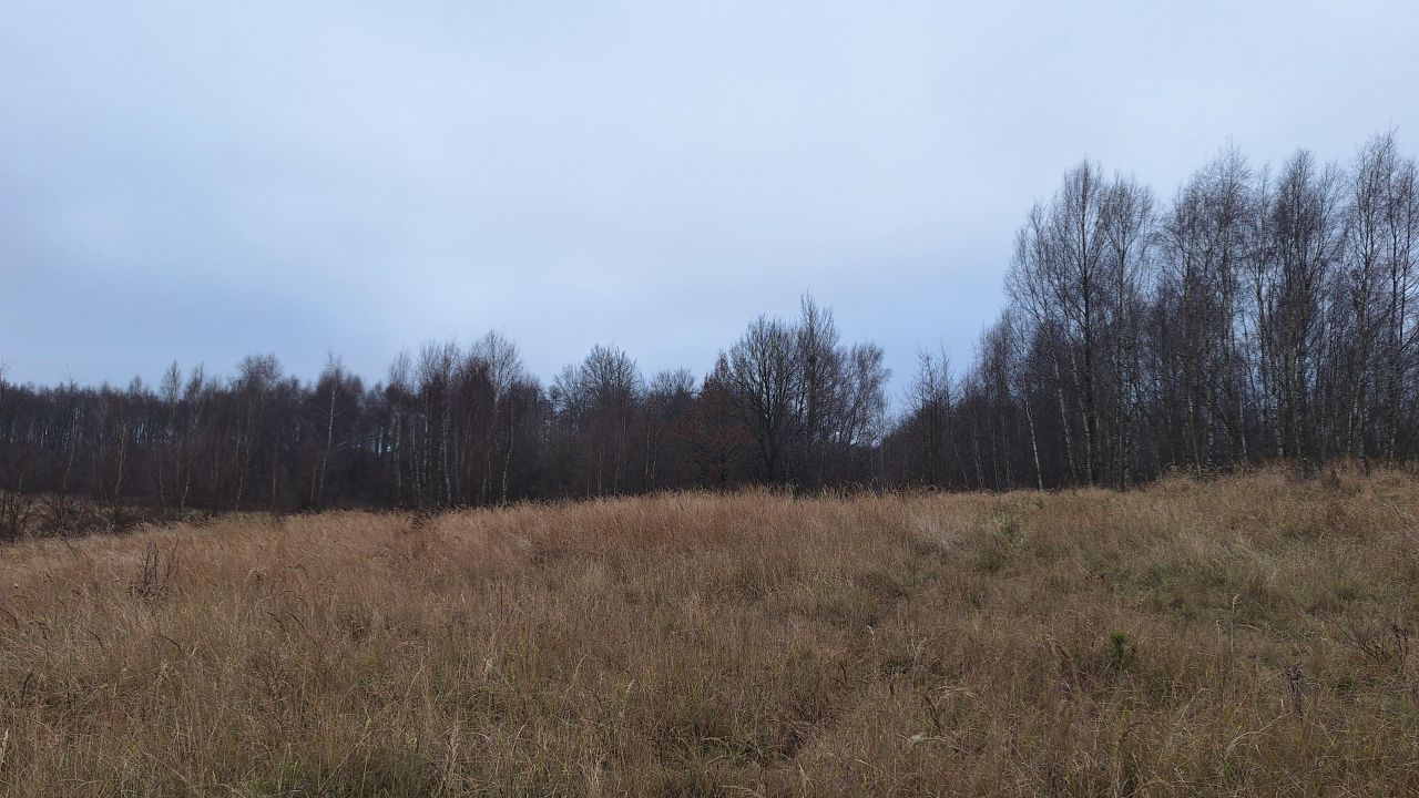 Działka rolna Mariankowo. Zdjęcie 5