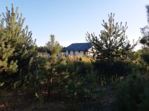 Działka budowlana Wilamy. Zdjęcie 2