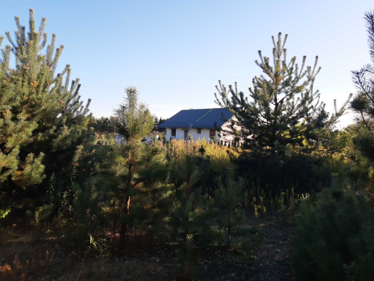 Działka budowlana Wilamy. Zdjęcie 3