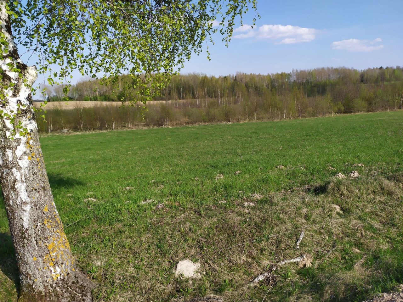 Działka rolna Użmauda. Zdjęcie 16