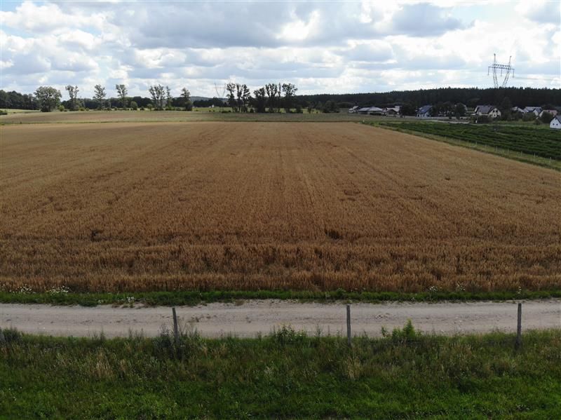 Działka budowlana Manowo, ul. Brzozowa. Zdjęcie 8