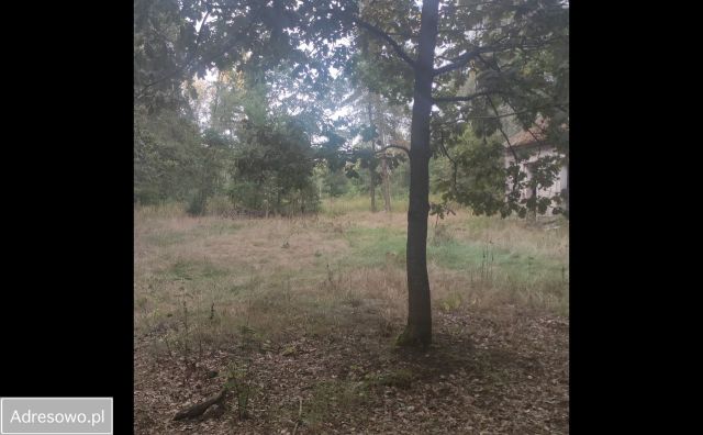 Działka rolno-budowlana Wielgolas Duchnowski, ul. Krajobrazowa. Zdjęcie 1