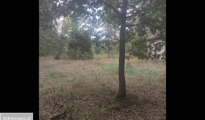 Działka rolno-budowlana Wielgolas Duchnowski, ul. Krajobrazowa