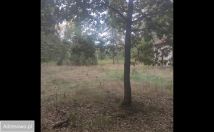 Działka rolno-budowlana Wielgolas Duchnowski, ul. Krajobrazowa