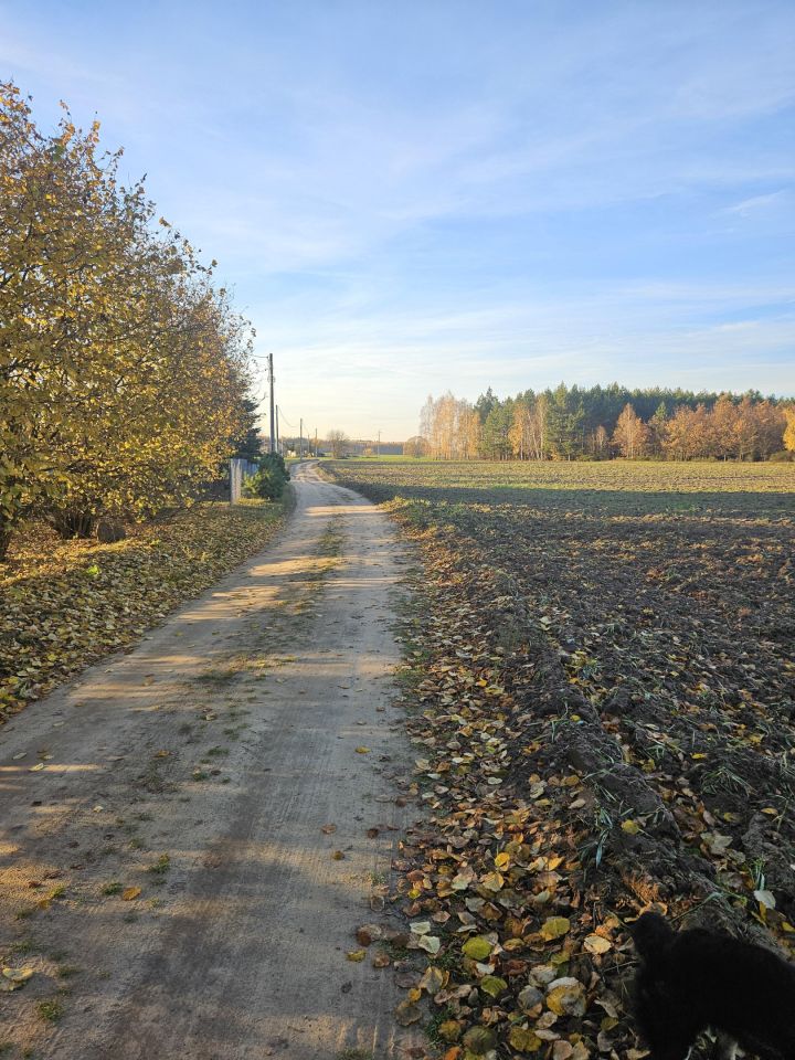 Działka budowlana Kubice Raki. Zdjęcie 7