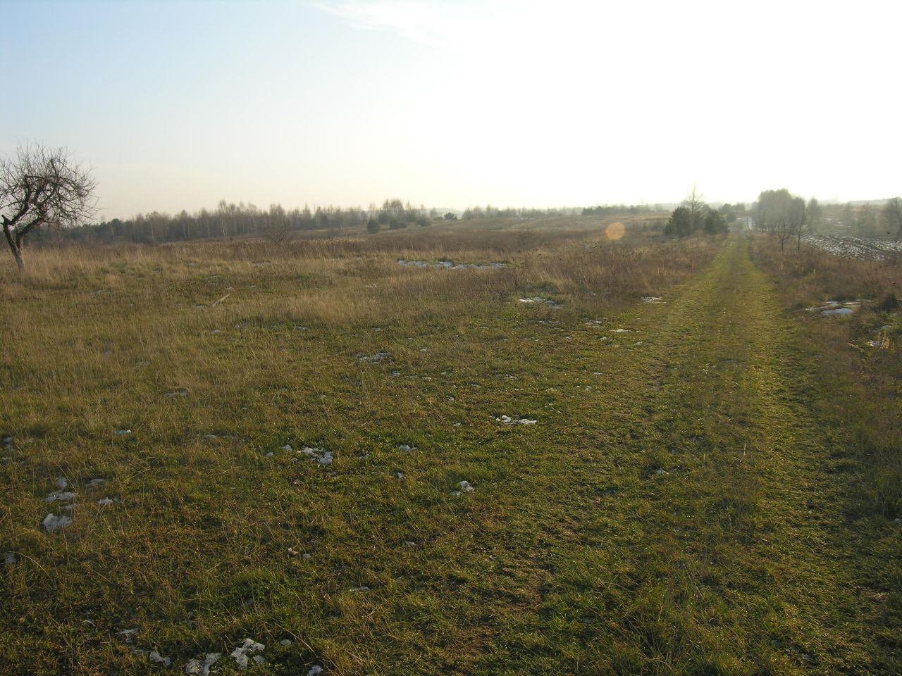 Działka rolno-budowlana Janik Rajki, ul. Ostrowiecka. Zdjęcie 7