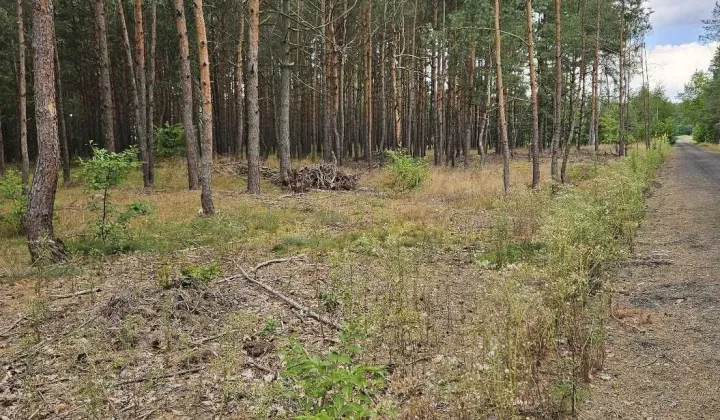 Działka budowlana Solec Kujawski