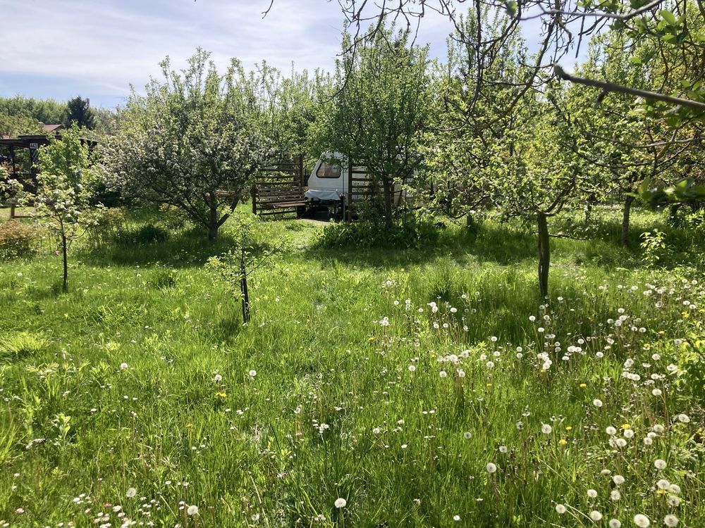 Działka rod Lublin, ul. Zawilcowa