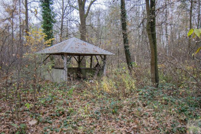 Działka Majdan Sieniawski. Zdjęcie 5