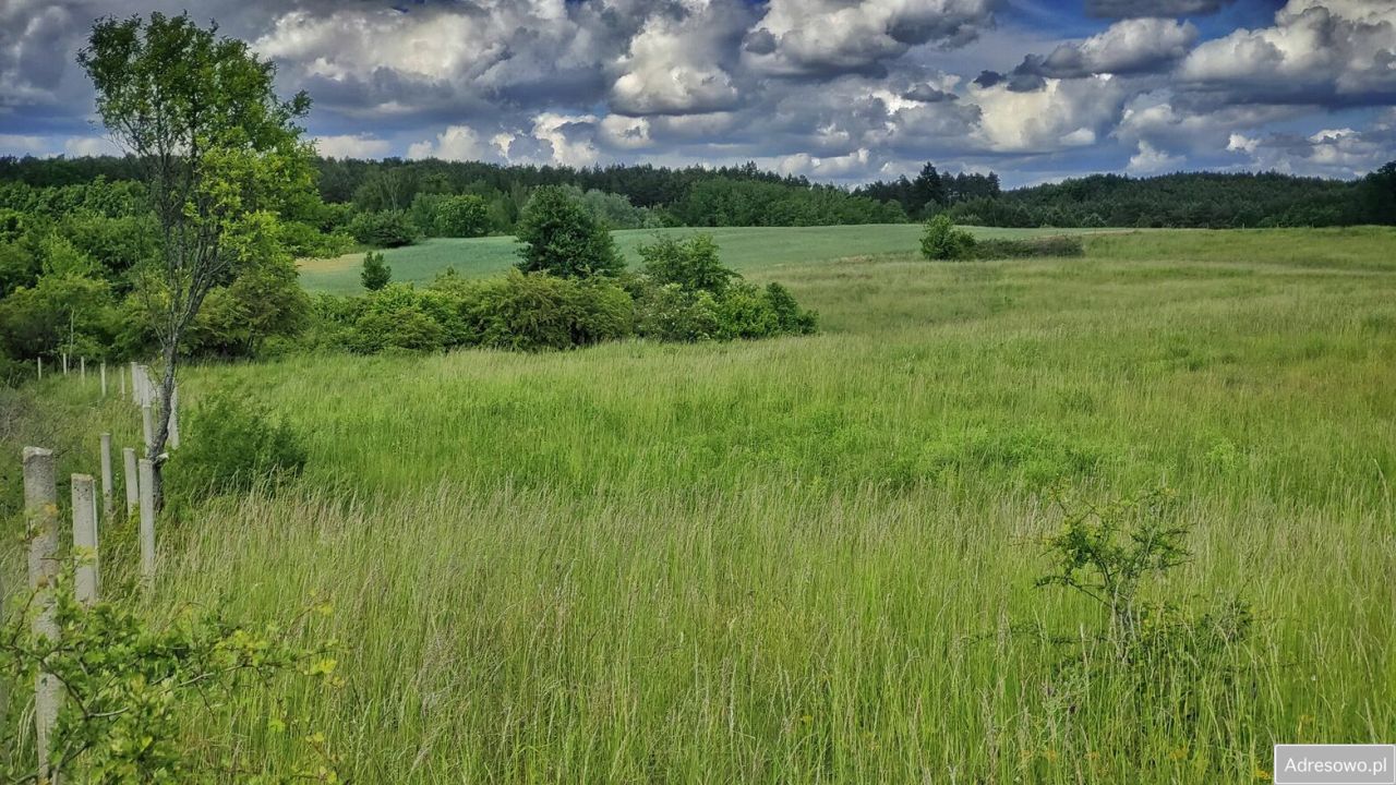 Działka rolna Łęgowo. Zdjęcie 8