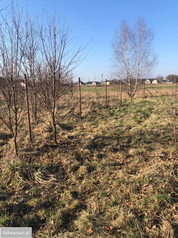 Działka rolno-budowlana Gąsocin, ul. Nasielska. Zdjęcie 8