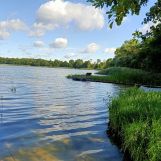 Działka rolna Goleń. Zdjęcie 3