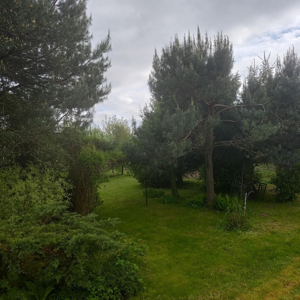 dom wolnostojący, 3 pokoje Milejów-Osada, ul. Szkolna. Zdjęcie 6