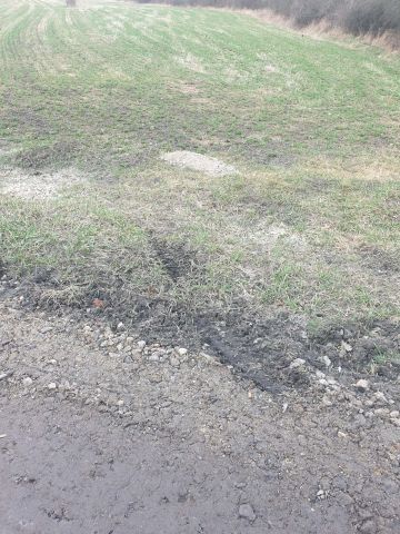 Działka rolna Niwnica. Zdjęcie 1