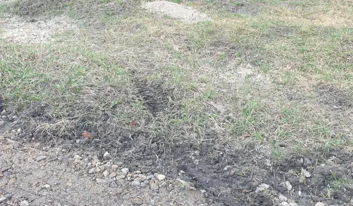 Działka rolna Niwnica