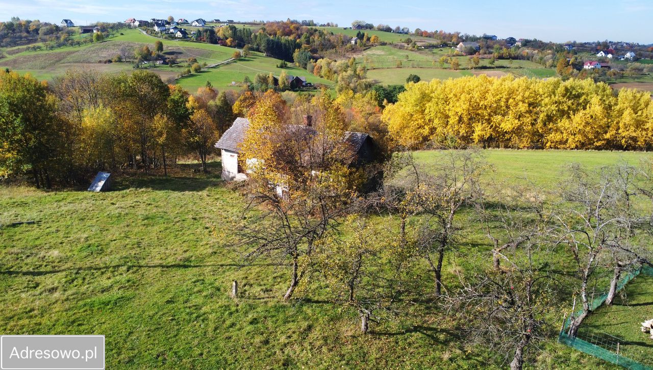 Działka budowlana Sadek. Zdjęcie 6