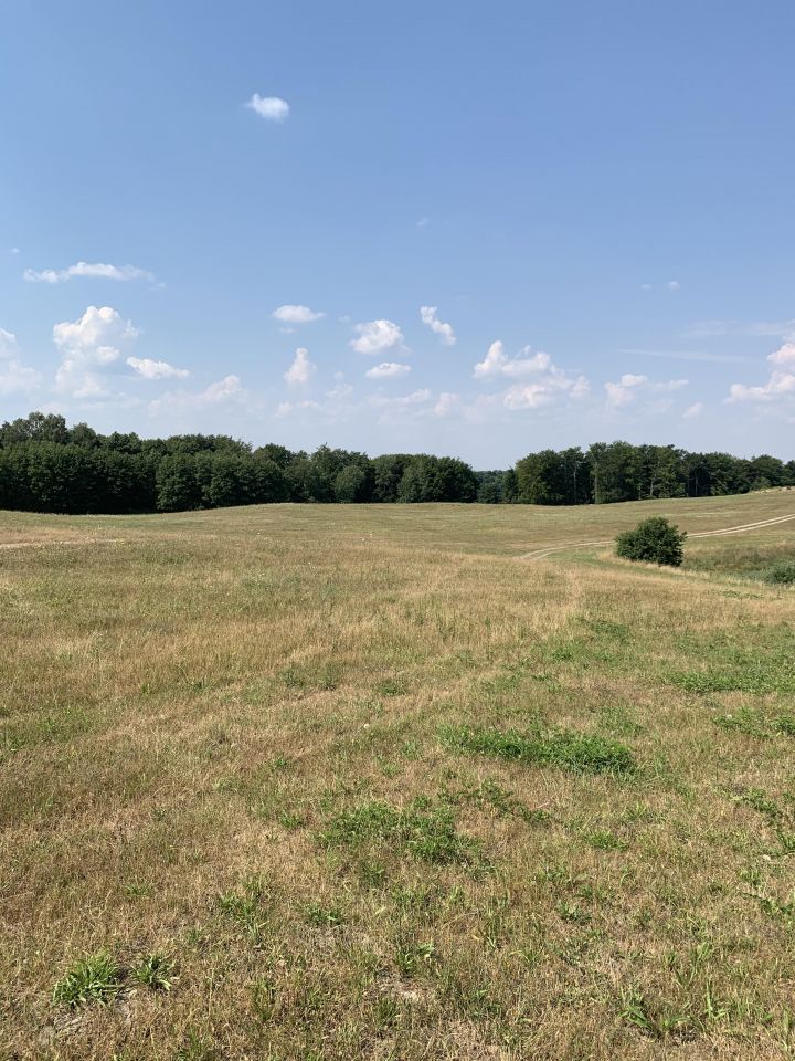 Działka budowlana Drawsko Pomorskie, ul. Polna. Zdjęcie 7